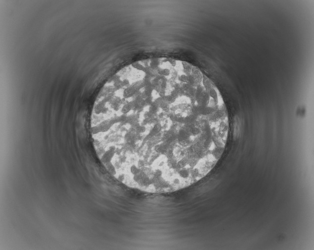 X0000113081059200910091226