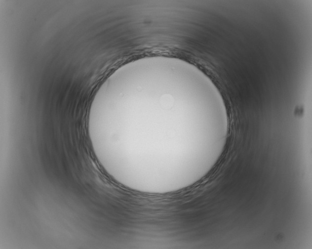 X0000113081060200910091226