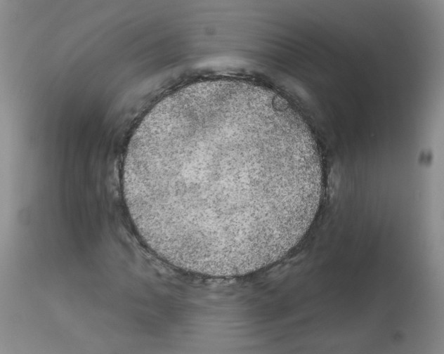 X0000113081062200910091226