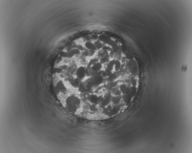 X0000113081063200910091226