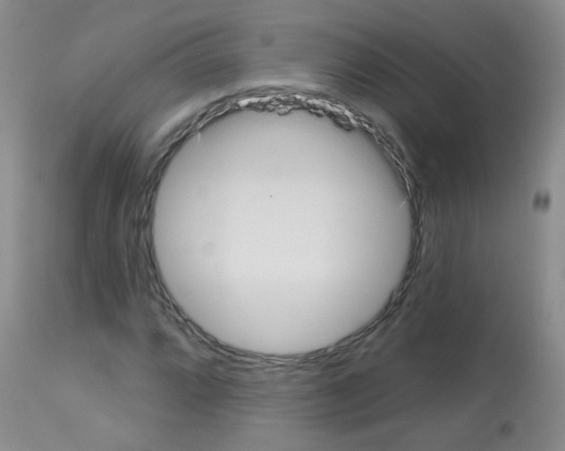 X0000113081064200910091226