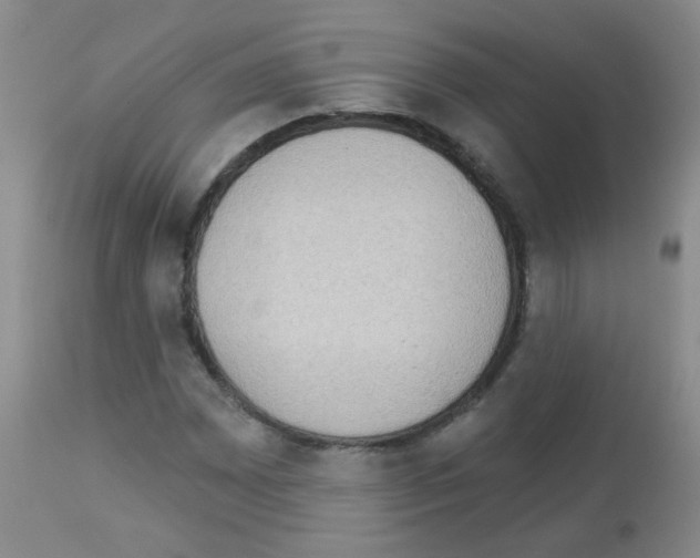X0000113081065200910091226