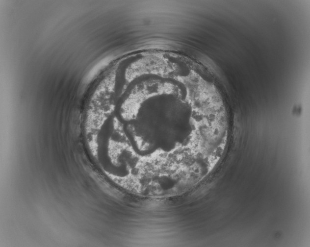 X0000113081067200910091226