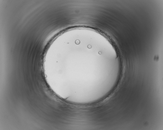 X0000113081069200910091226