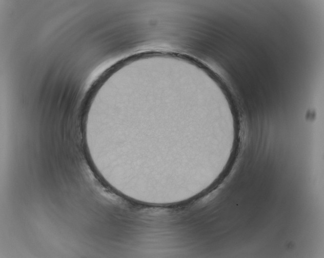 X0000113081070200910091226