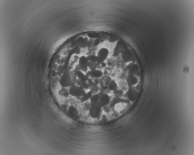 X0000113081071200910091226