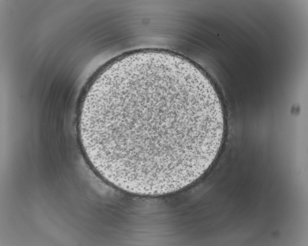 X0000113081072200910091226