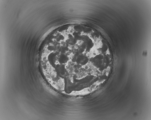 X0000113081075200910091226