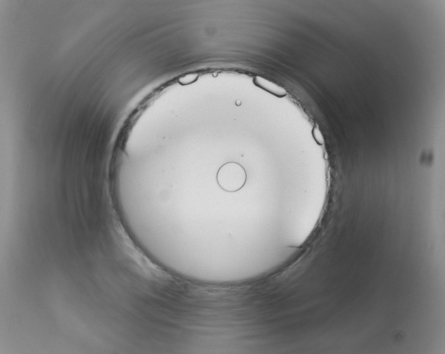 X0000113081076200910091226