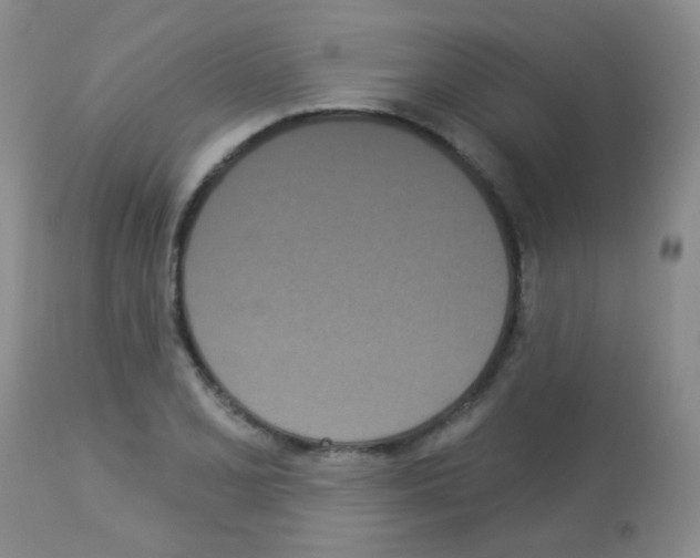X0000113081077200910091226