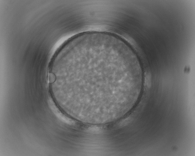 X0000113081078200910091226