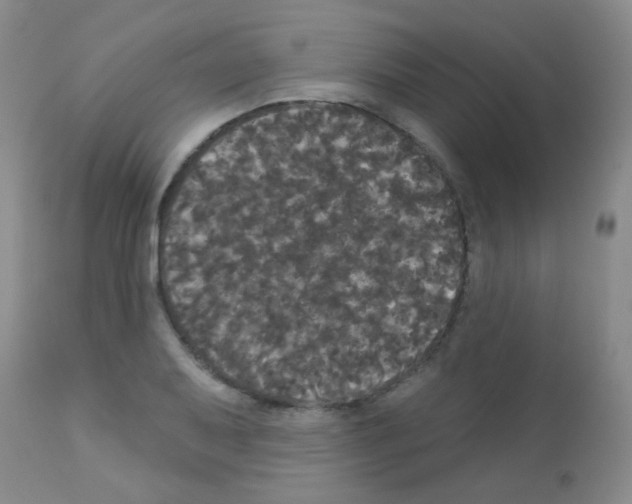 X0000113081079200910091226