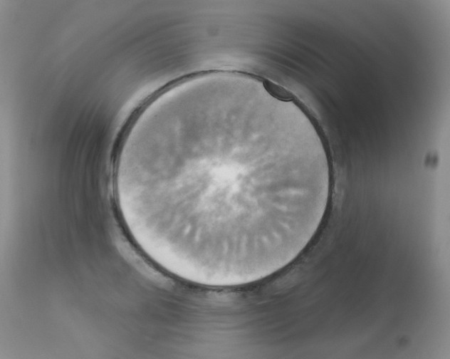 X0000113081080200910091226