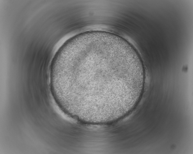 X0000113081082200910091226