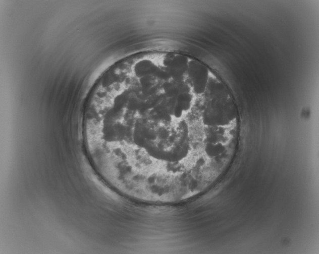 X0000113081083200910091226