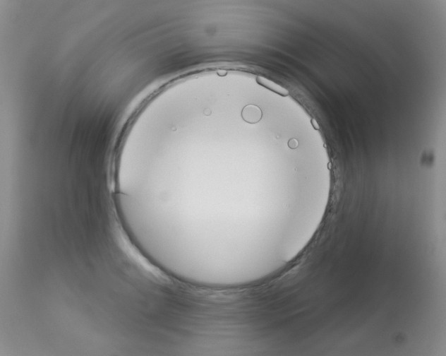 X0000113081084200910091226