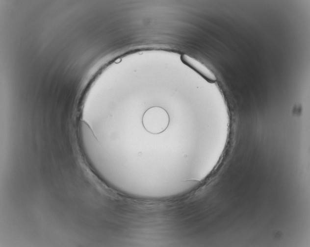 X0000113081085200910091226