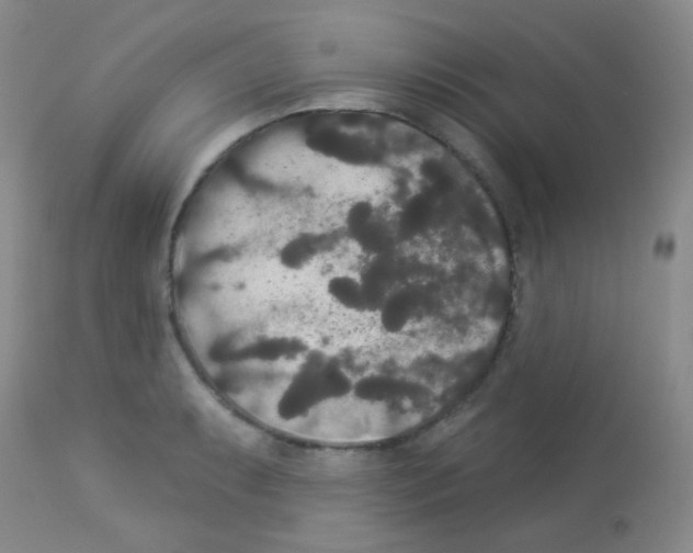 X0000113081087200910091226