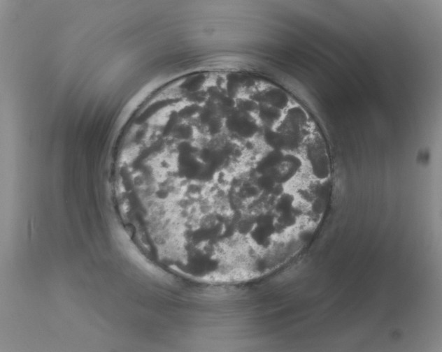 X0000113081091200910091226