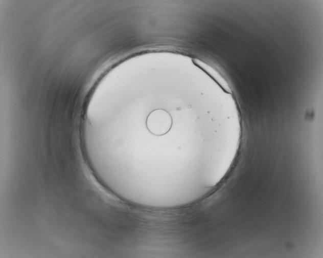 X0000113081093200910091226