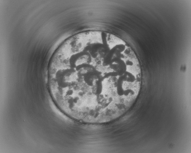 X0000113081095200910091226