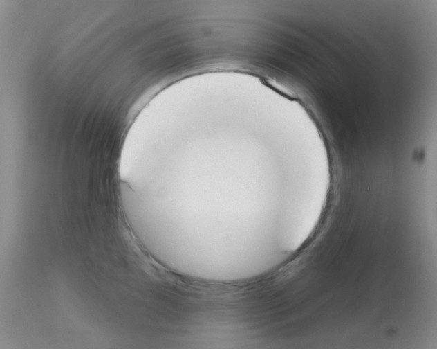 X0000113081097200910091226