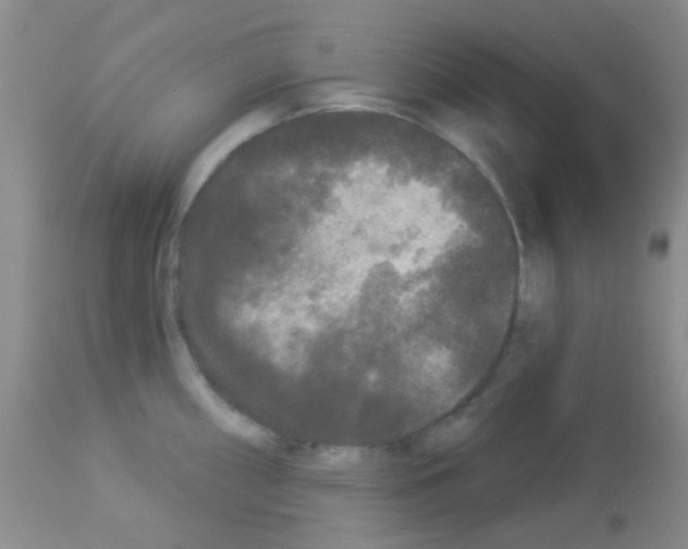 X0000113081098200910091226