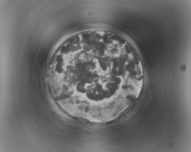 X0000113081099200910091226