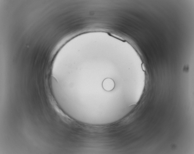 X0000113081101200910091226