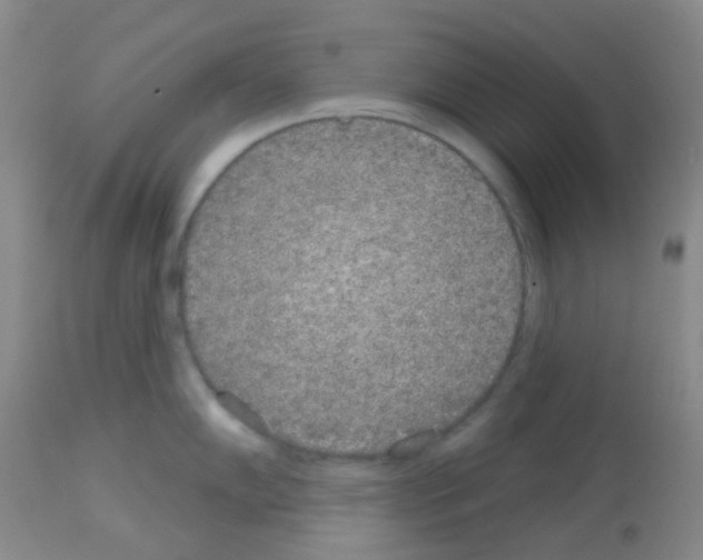 X0000113081102200910091226