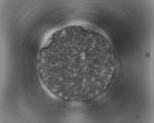 X0000113081103200910091226