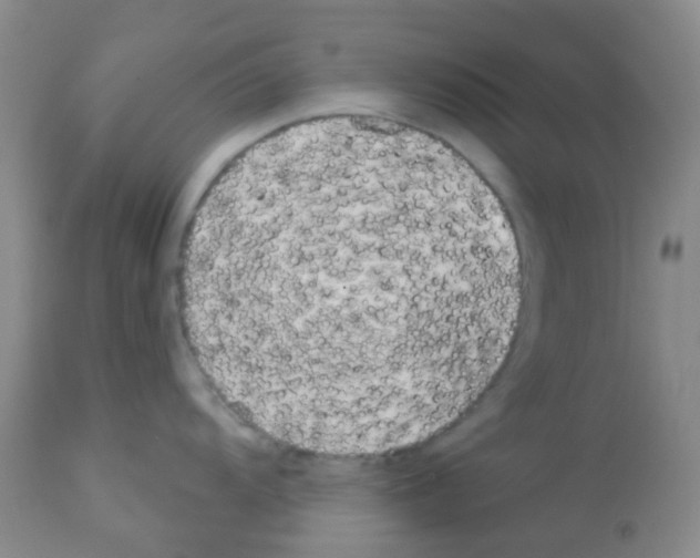 X0000113081104200910091226