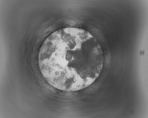 X0000113081105200910091225
