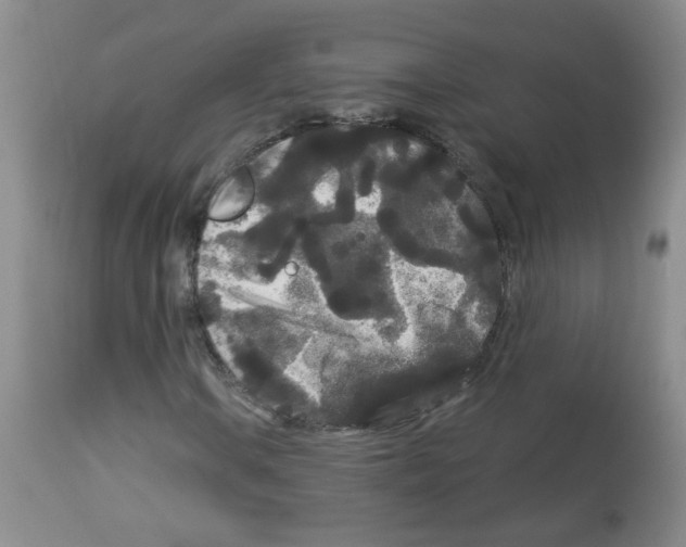 X0000113081106200910091225