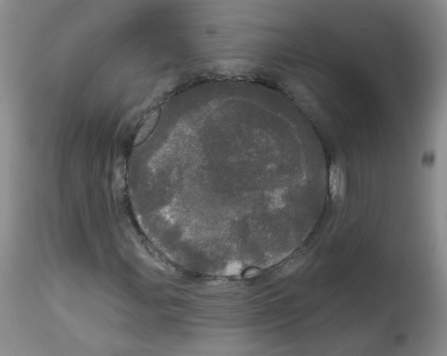 X0000113081107200910091225
