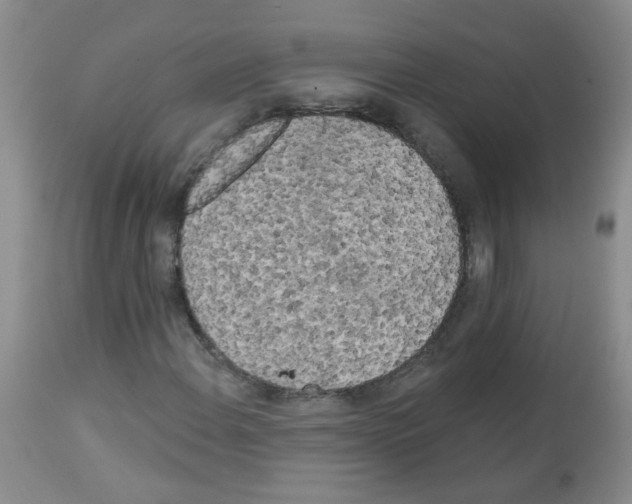 X0000113081108200910091225