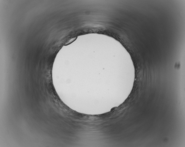 X0000113081109200910091225