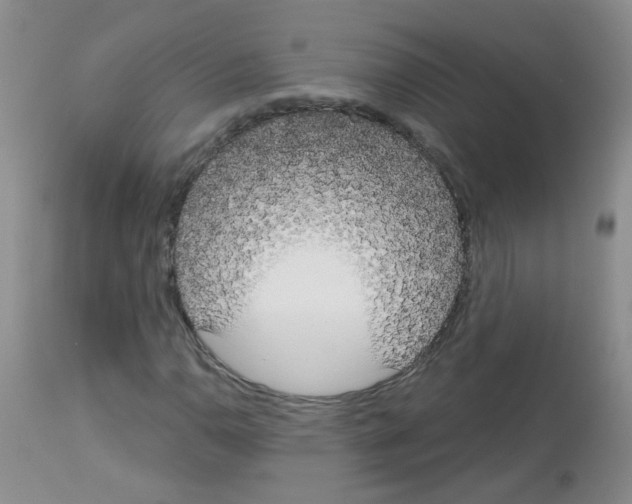 X0000113081110200910091225
