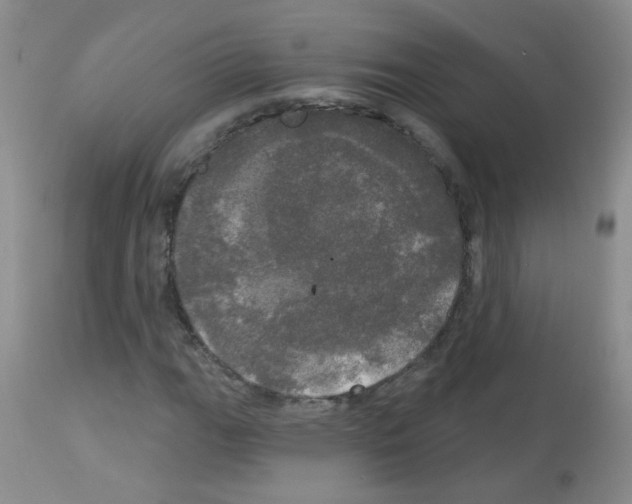X0000113081111200910091225