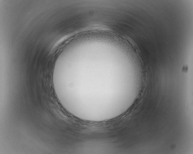 X0000113081112200910091225