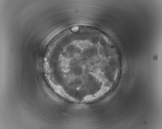 X0000113081113200910091225