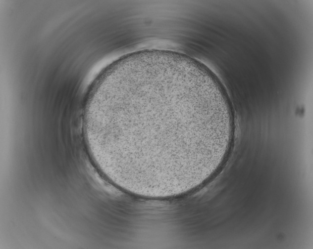 X0000113081115200910091225