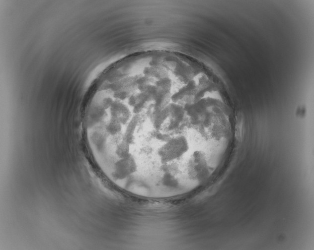 X0000113081117200910091225