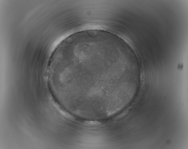 X0000113081119200910091225