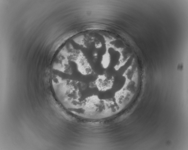 X0000113081121200910091225
