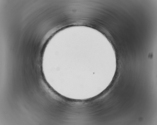 X0000113081122200910091225