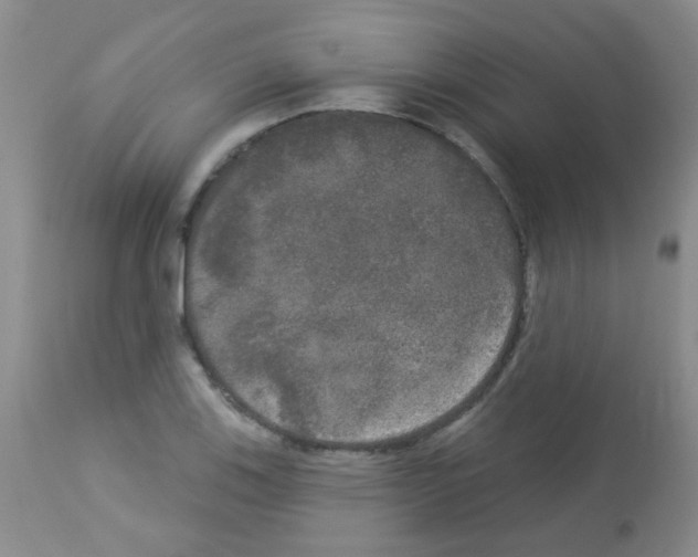 X0000113081123200910091225