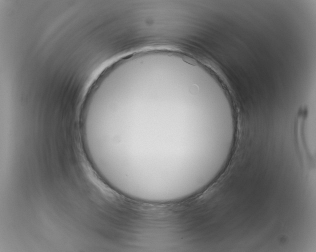 X0000113081124200910091225