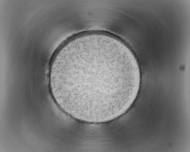 X0000113081126200910091225