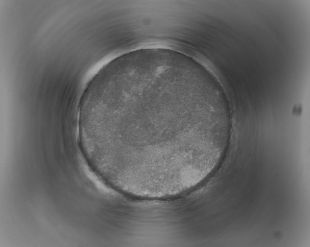 X0000113081127200910091225